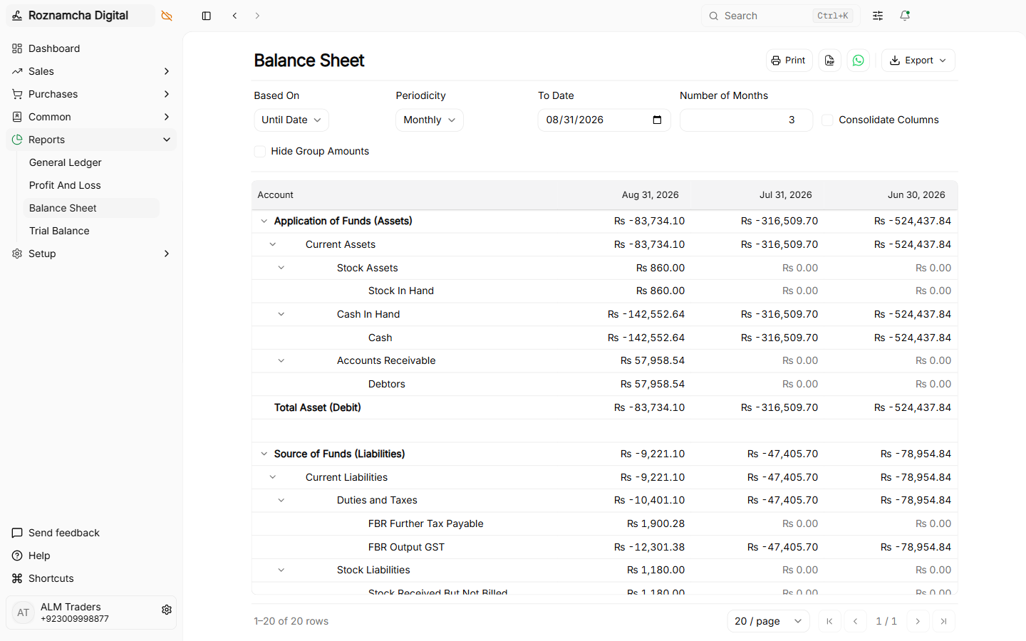 Balance sheet report displaying Assets, Liabilities, and Equity